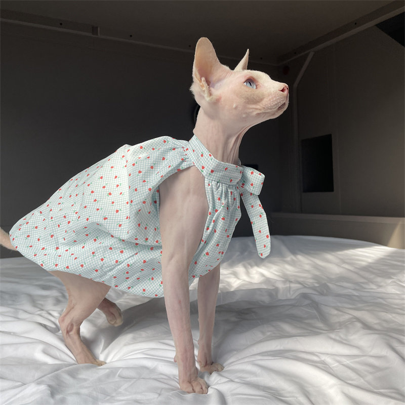 Cat Clothing in Summer Sweet L - Summer Light Clothing บทวิจารณ์และราคา