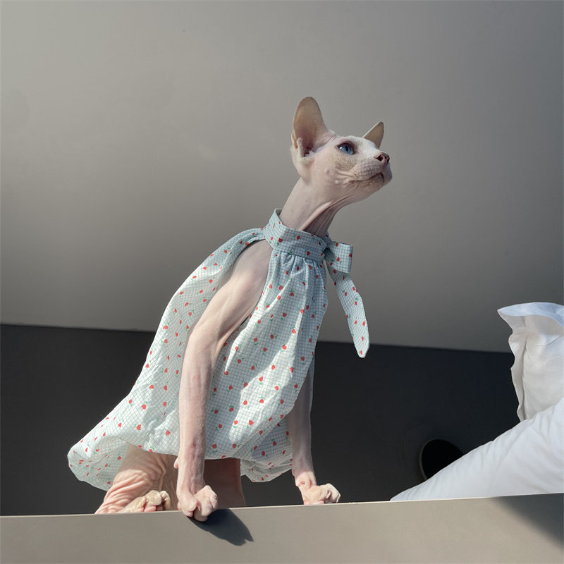 Cat Clothing in Summer Sweet L - Summer Light Clothing บทวิจารณ์และราคา