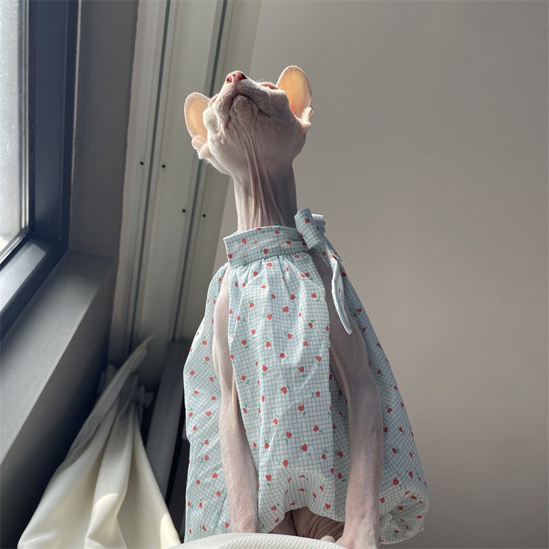 Cat Clothing in Summer Sweet L - Summer Light Clothing บทวิจารณ์และราคา